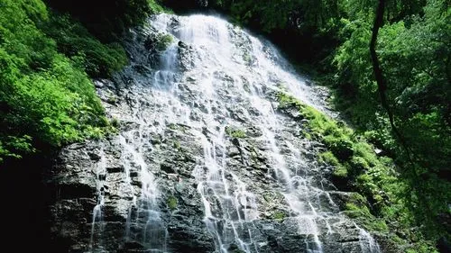 高端全自动